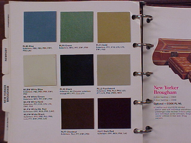 77 Leather colors.JPG